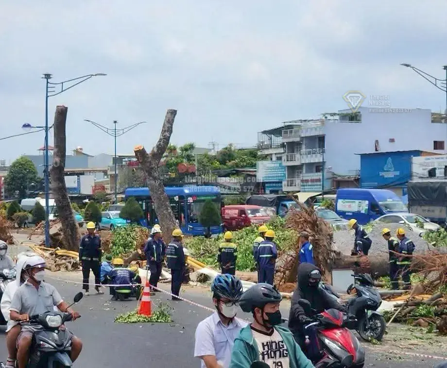 Tuyến Metro Số 2 TPHCM: Hơn 400 Cây Xanh Bị Đốn Hạ - Tác Động và Cơ Hội Cho Thị Trường Bất Động Sản