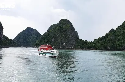 Vịnh Bái Tử Long - Viên Ngọc Ẩn Quảng Ninh Thu Hút Đầu Tư Bất Động Sản Nghỉ Dưỡng Cao Cấp