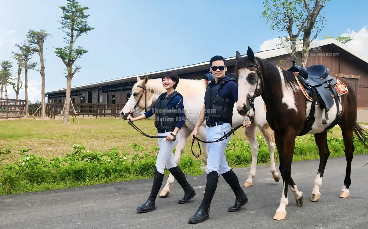 Vinhomes Royal Island Hải Phòng: Phiên bản nâng cấp Vinhomes Riverside với chính sách tài chính ưu việt