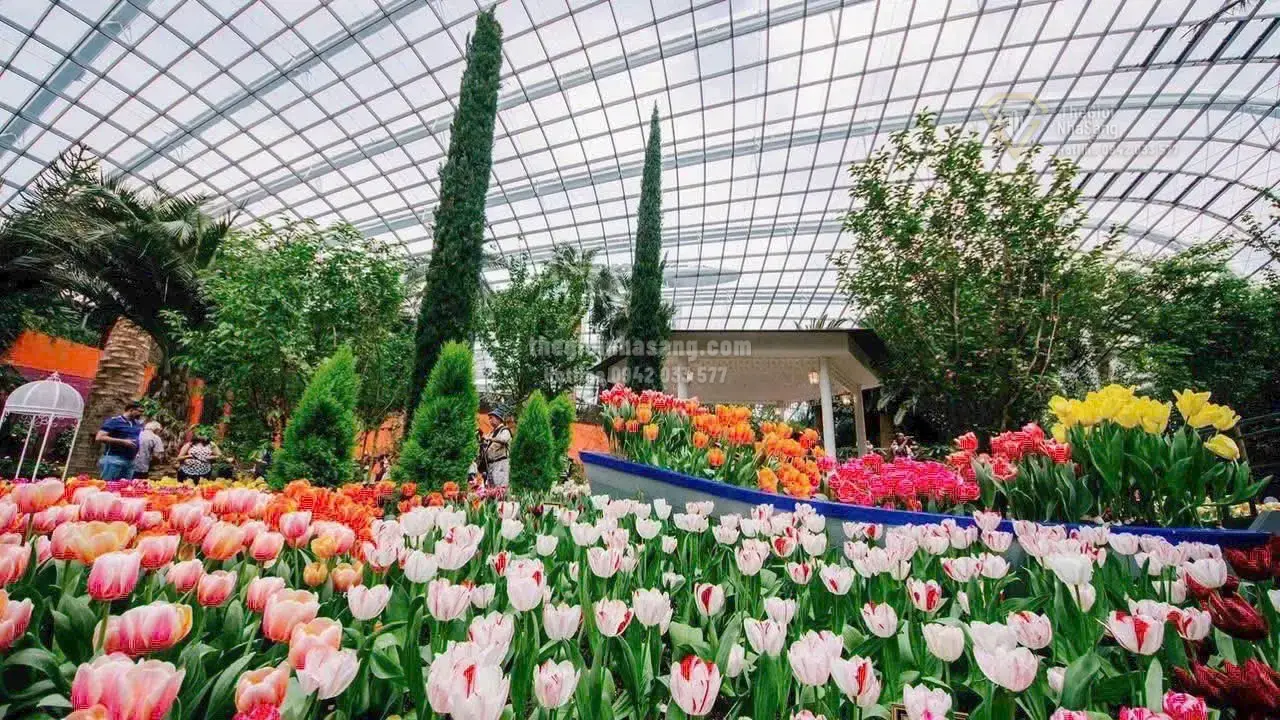 Vinhomes Saigon Park: Đại đô thị xanh đẳng cấp với vườn hoa nhà kính và khu vườn Baobab tại Tây Bắc TP.HCM