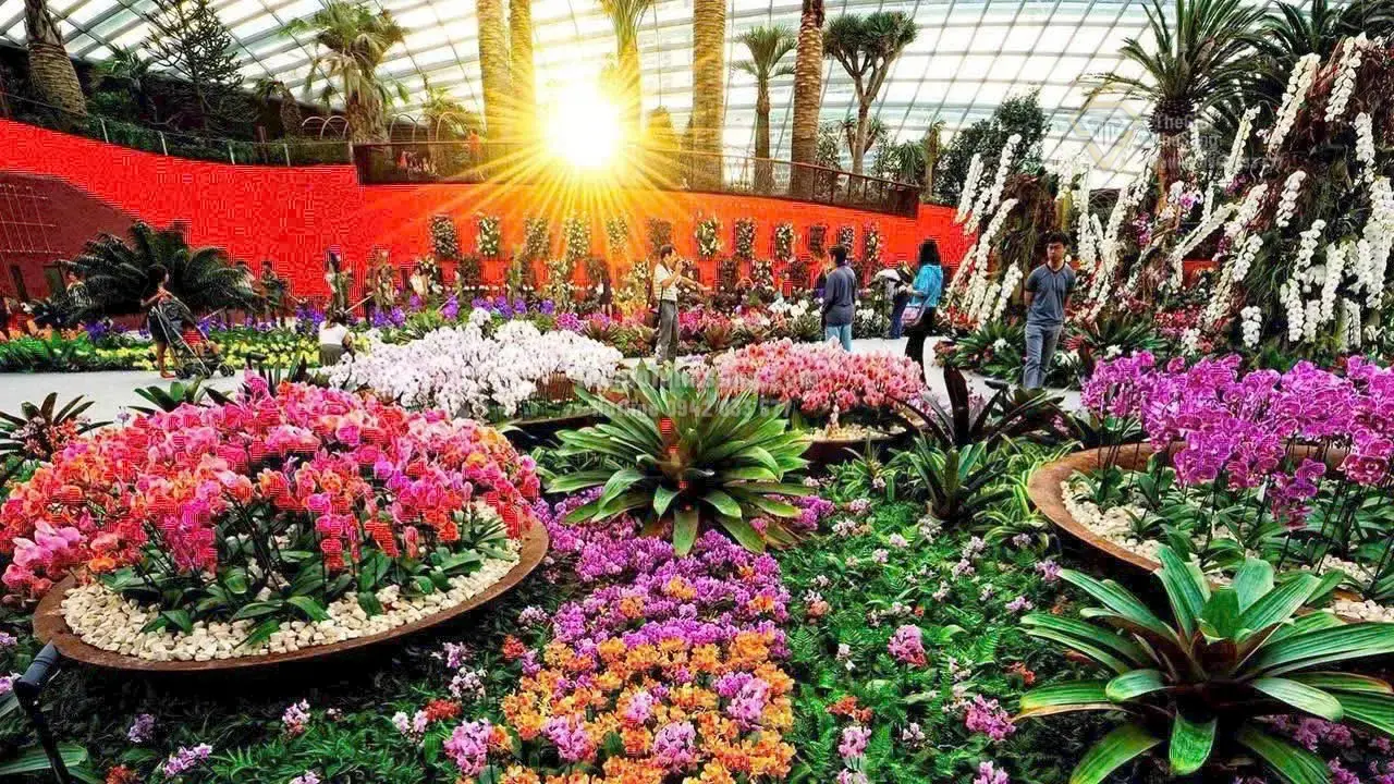 Vinhomes Saigon Park: Đại đô thị xanh đẳng cấp với vườn hoa nhà kính và khu vườn Baobab tại Tây Bắc TP.HCM