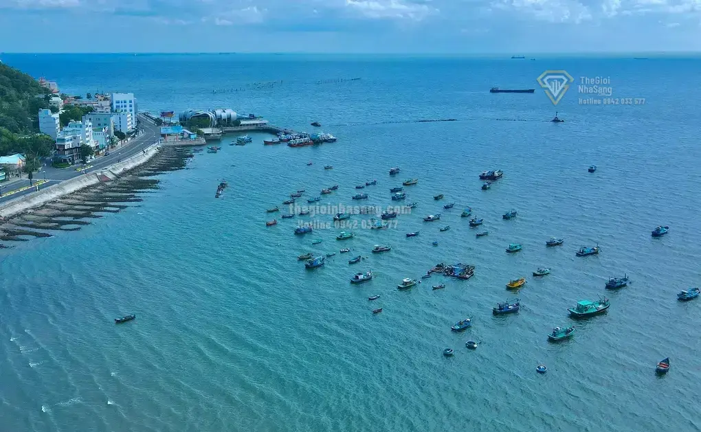 VnExpress Marathon Vũng Tàu 2026: Cơ hội phát triển hạ tầng và bất động sản ven biển Bãi Trước - Bãi Sau