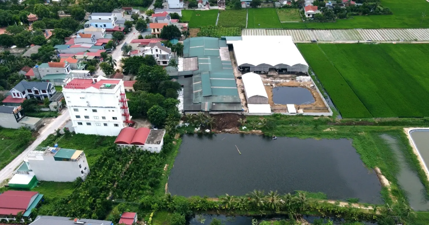 Yêu cầu tháo dỡ trang trại nuôi 900 con bò gần khu dân cư ở Thanh Hóa - VietNamNet