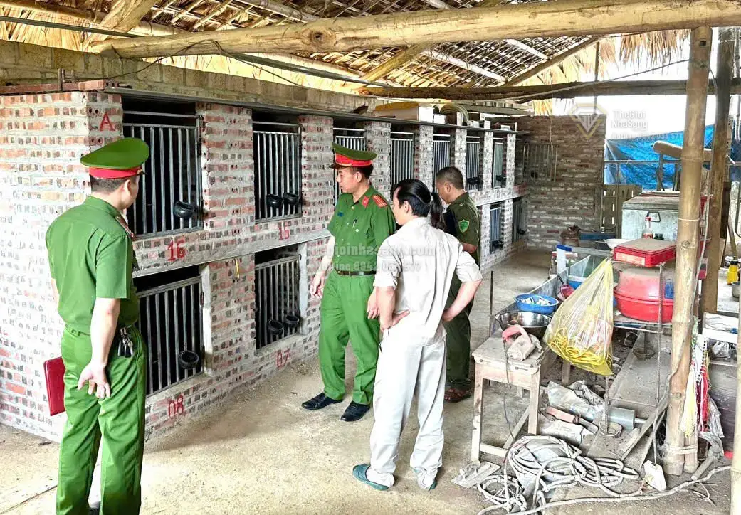 Xã Văn Bàn – Mô Hình 'Xã Không Ma Túy' và Tác Động Tích Cực Đến Phát Triển Bất Động Sản Vùng Miền Núi