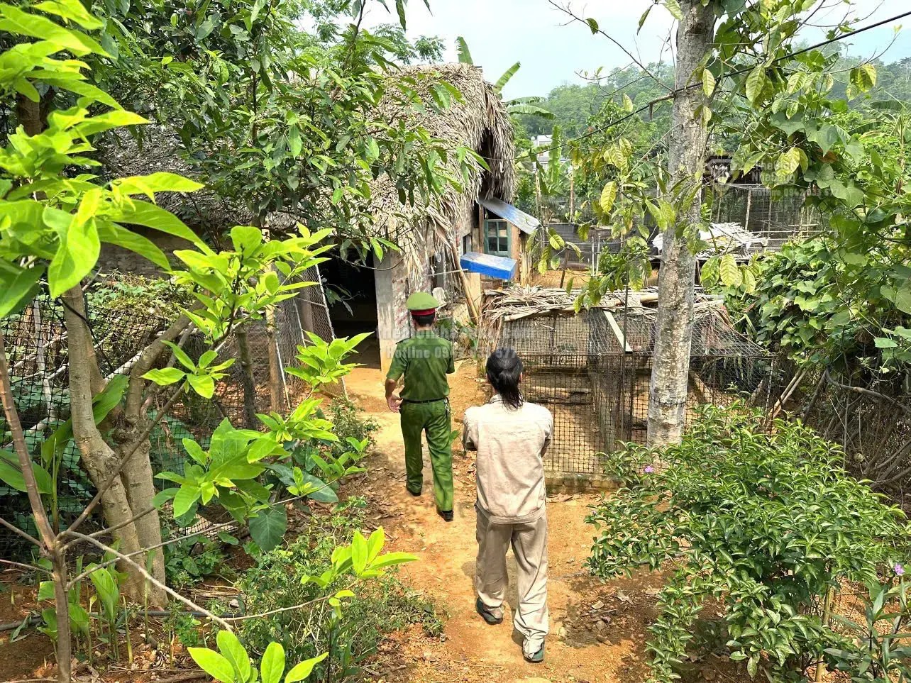 Xã Văn Bàn – Mô Hình 'Xã Không Ma Túy' và Tác Động Tích Cực Đến Phát Triển Bất Động Sản Vùng Miền Núi