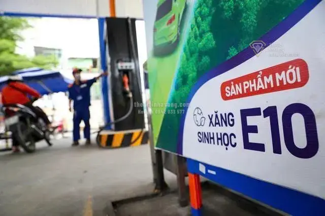 Xăng E10 và tác động đến thị trường bất động sản cùng xu hướng phát triển bền vững tại Việt Nam