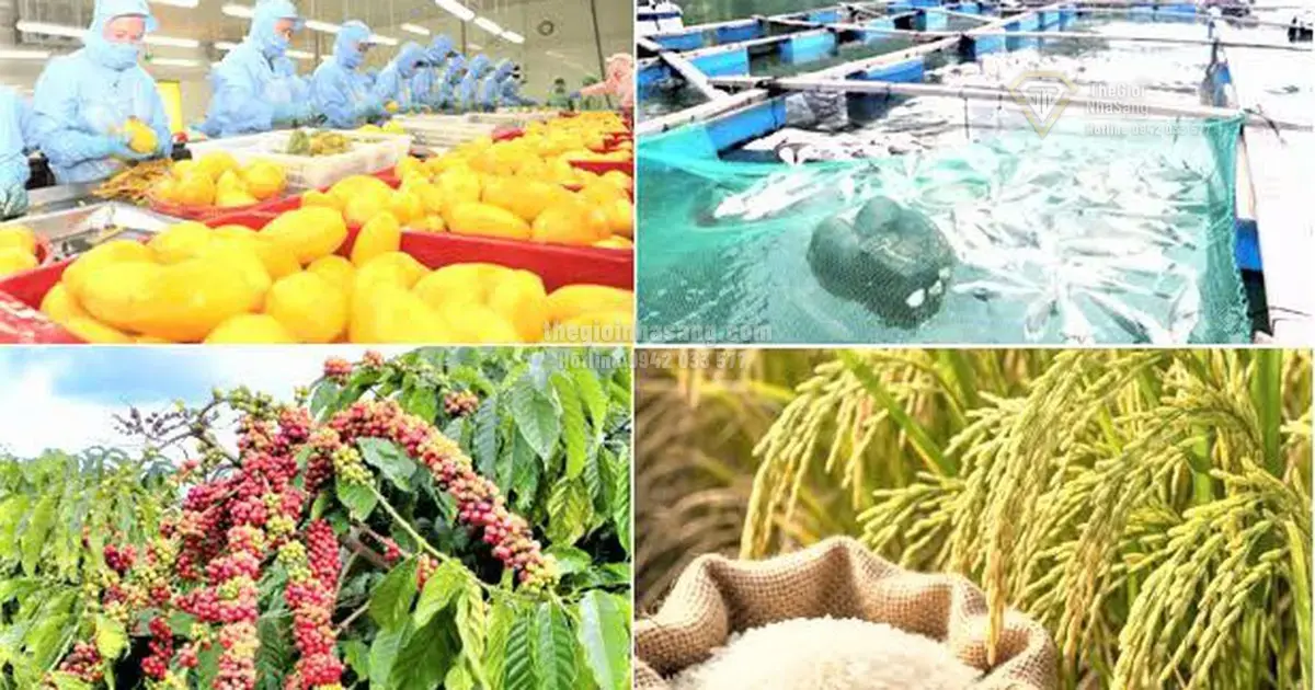 Xuất Khẩu Nông Lâm Thủy Sản Vượt Mốc 74 Tỷ USD: Tác Động Đến Thị Trường Bất Động Sản Và Đầu Tư Việt Nam 2026