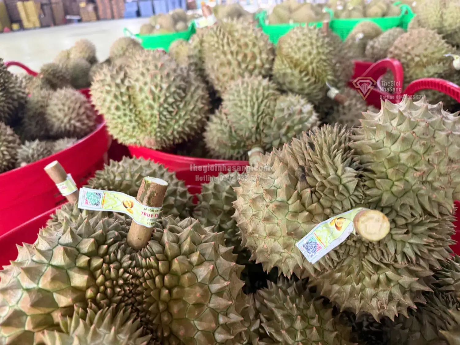 Xuất khẩu sầu riêng theo Luồng xanh: Bước tiến mới thúc đẩy phát triển bất động sản vùng nông nghiệp công nghệ cao