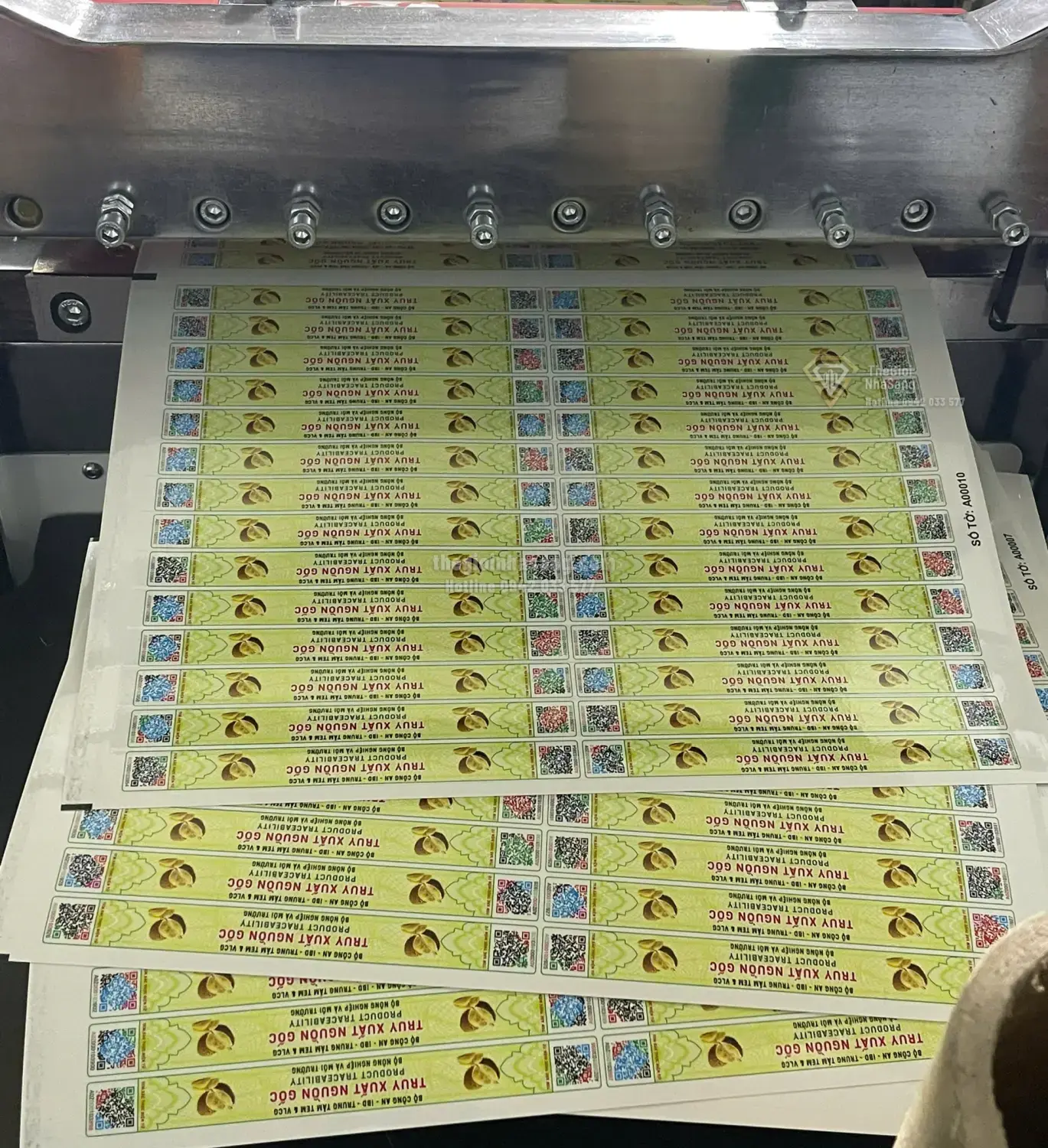 Xuất khẩu sầu riêng theo Luồng xanh: Bước tiến mới thúc đẩy phát triển bất động sản vùng nông nghiệp công nghệ cao