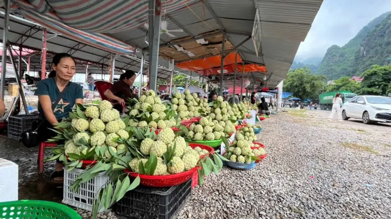 Na Chi Lăng, vị ngọt giúp nông dân đổi đời trên đất Lạng Sơn (bài 2): Quả đặc sản đạt sao OCOP