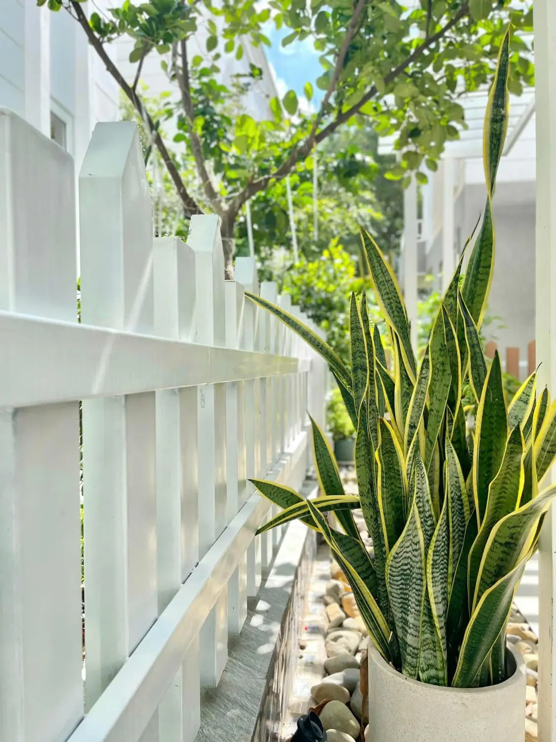 Cho thuê Biệt Thự Đơn Lập Quận 9, Khu Compound Xanh, Nội Thất Cao Cấp, Diện Tích Rộng 300m2