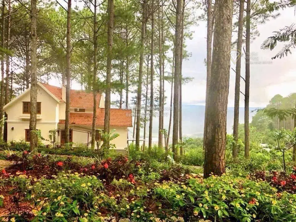 Khu nghỉ dưỡng sinh thái Đà Lạt 39.6ha giá 799.9 tỷ