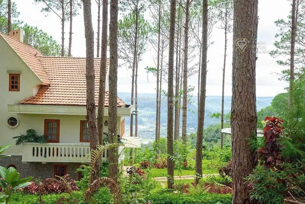 Khu nghỉ dưỡng sinh thái Đà Lạt 39.6ha giá 799.9 tỷ