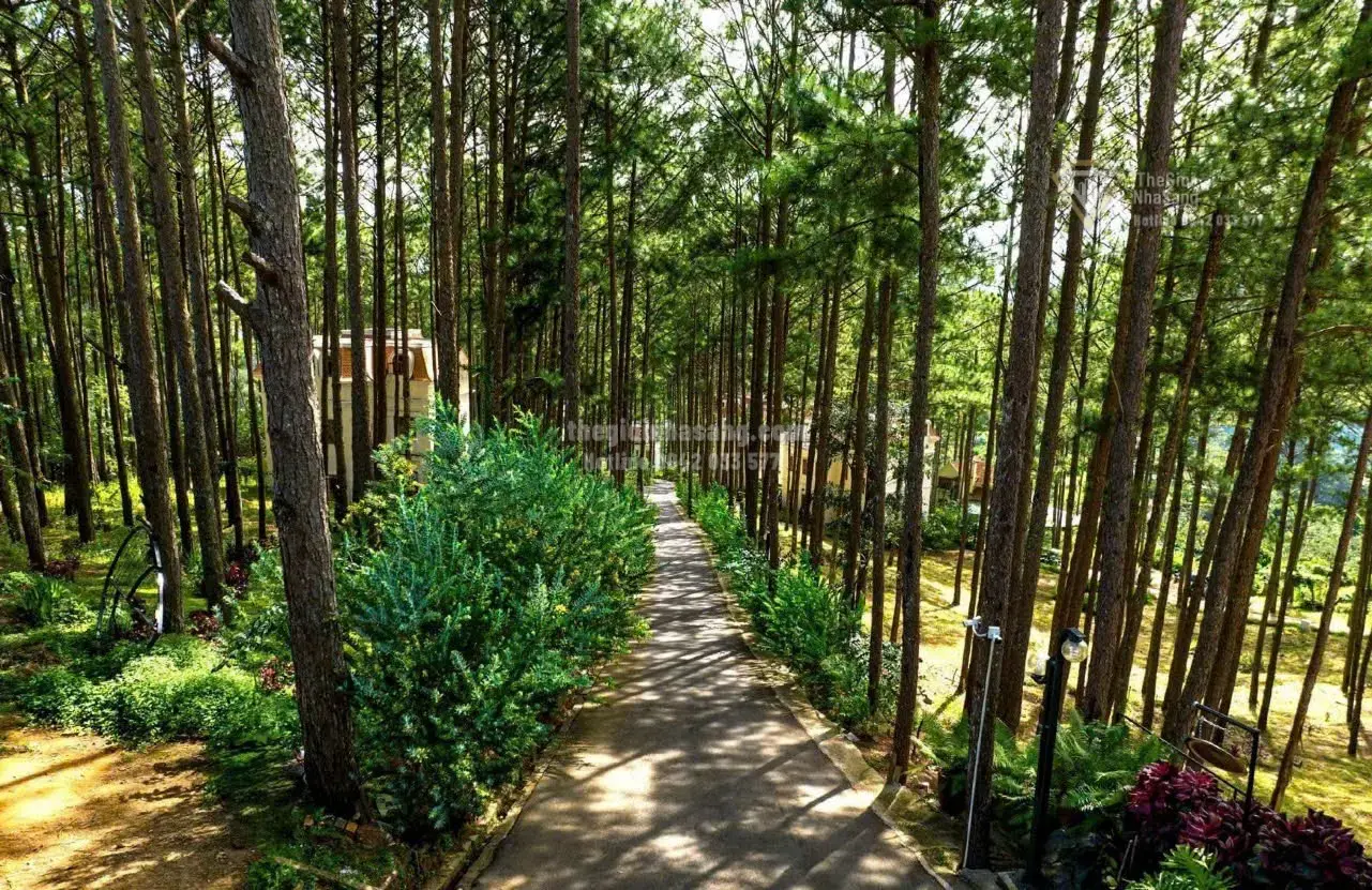 Khu nghỉ dưỡng sinh thái Đà Lạt 39.6ha giá 799.9 tỷ