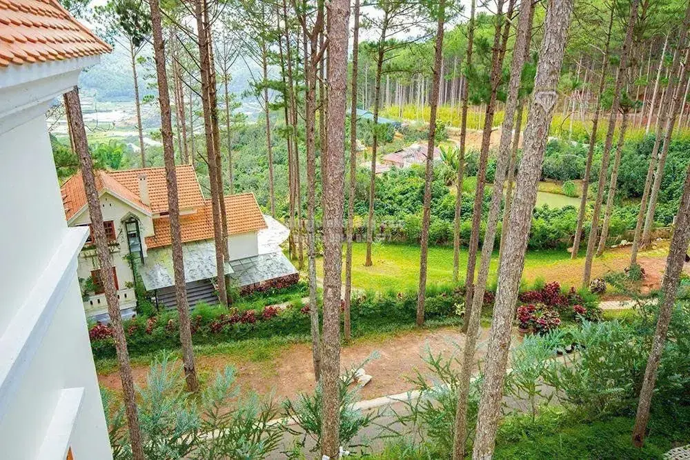 Khu nghỉ dưỡng sinh thái Đà Lạt 39.6ha giá 799.9 tỷ