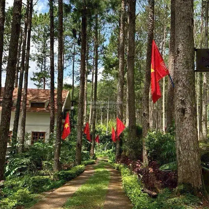 Khu nghỉ dưỡng sinh thái Đà Lạt 39.6ha giá 799.9 tỷ