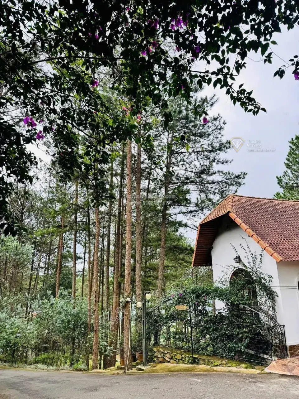 Khu nghỉ dưỡng sinh thái Đà Lạt 39.6ha giá 799.9 tỷ