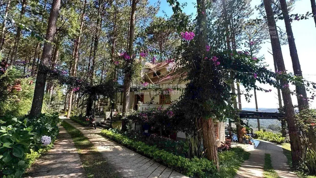 Khu nghỉ dưỡng sinh thái Đà Lạt 39.6ha giá 799.9 tỷ